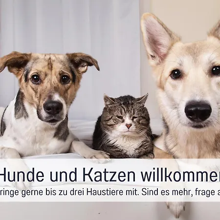 Lichtinsel - Strandnah, Ebenerdig, Haustierfreundlich, Terrasse Und Garten, Viel Platz * 스타인베르크