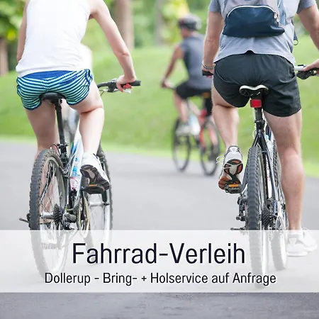 Lichtinsel - Strandnah, Ebenerdig, Haustierfreundlich, Terrasse Und Garten, Viel Platz 아파트 스타인베르크