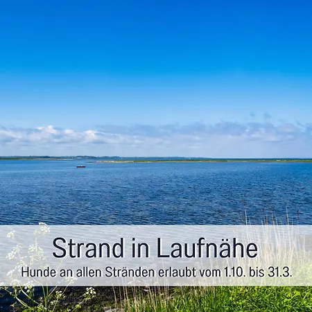 Lichtinsel - Strandnah, Ebenerdig, Haustierfreundlich, Terrasse Und Garten, Viel Platz * 스타인베르크