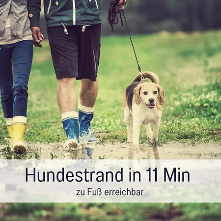 Lichtinsel - Strandnah, Ebenerdig, Haustierfreundlich, Terrasse Und Garten, Viel Platz *